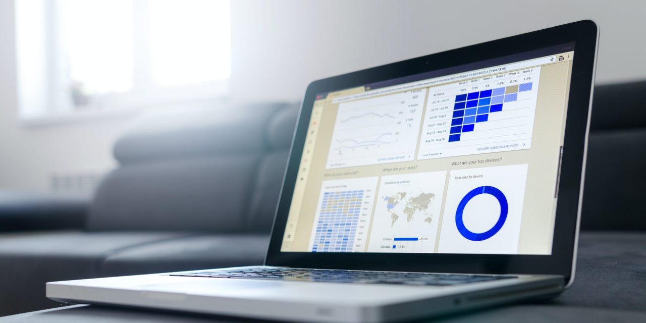 statistiques développement logiciel 2021